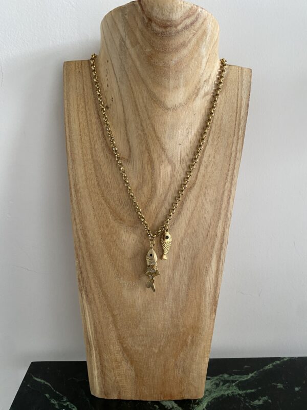 collier-poisson